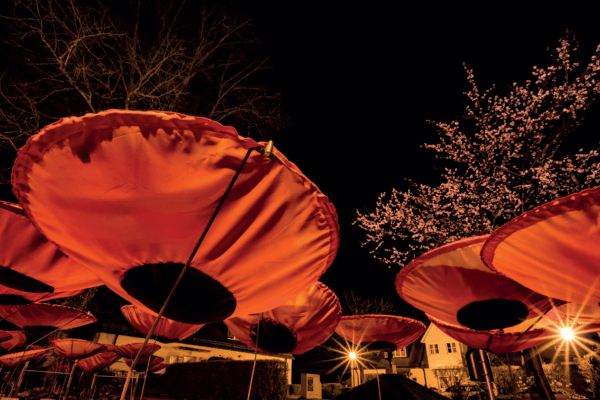 Mahnblumen bei Nacht_Erinnerungsort BADEHAUS