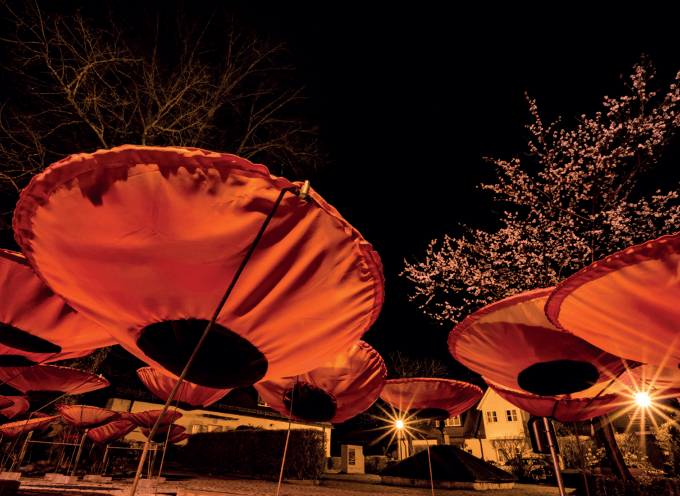 Mahnblumen bei Nacht_Erinnerungsort BADEHAUS